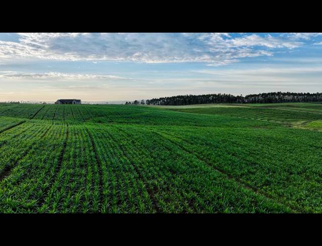 LAND FOR SALE IN MOUNT VERDE